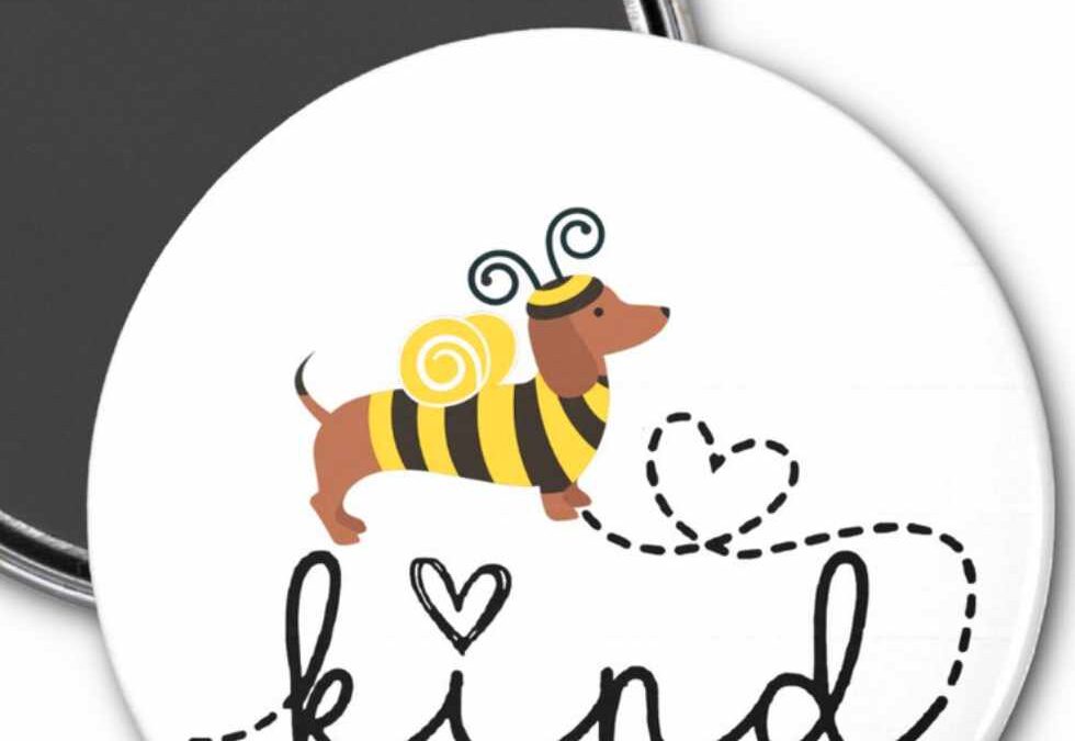 Bee Kind and Bee Yourself Pin