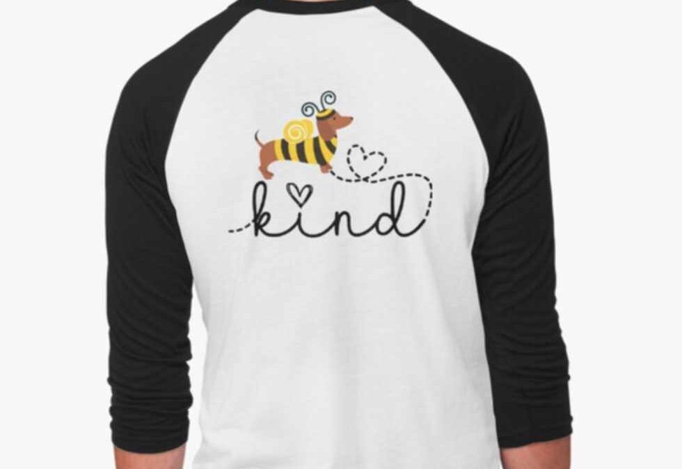 Bee Kind and Bee Yourself Baseball shirt